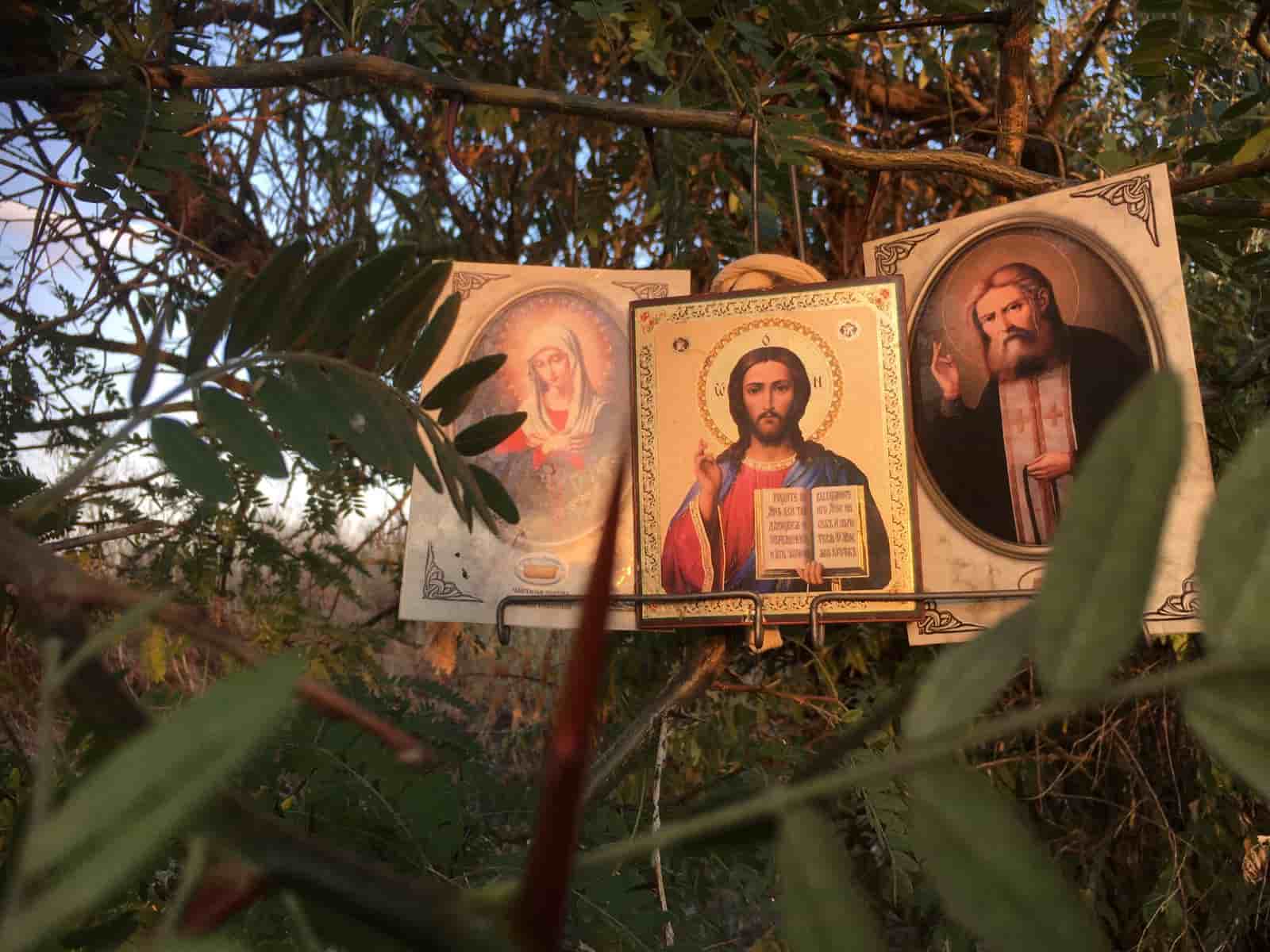 Хронология. Что сделано по Пустынке за пол года. Воцап чат